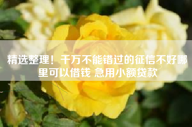 精选整理！千万不能错过的征信不好哪里可以借钱 急用小额贷款