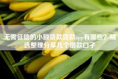 无需征信的小额贷款贷款app有哪些？精选整理分享几个借款口子