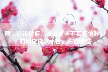 网上借钱被拒，试试这些不看征信秒过的网贷贷款平台，不容错过