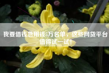 我要借钱急用钱5万名单，这些网贷平台值得试一试！