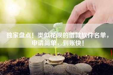 独家盘点！类似花呗的借款软件名单，申请简单，到账快！