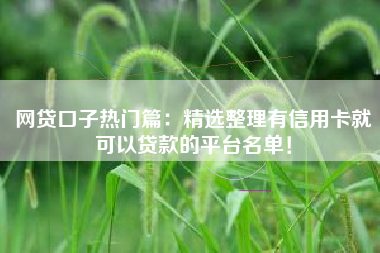 网贷口子热门篇：精选整理有信用卡就可以贷款的平台名单！