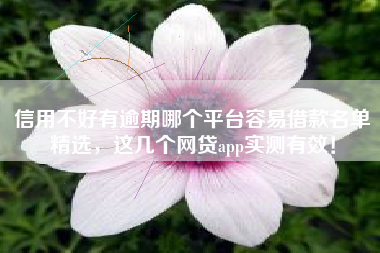 信用不好有逾期哪个平台容易借款名单精选，这几个网贷app实测有效！