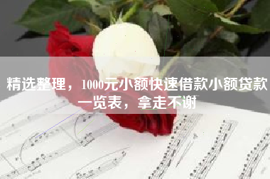 精选整理，1000元小额快速借款小额贷款一览表，拿走不谢