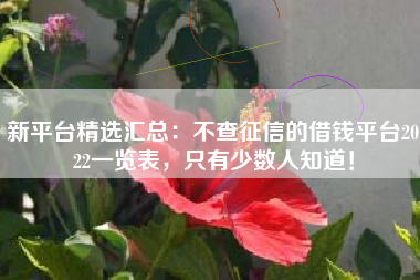 新平台精选汇总：不查征信的借钱平台2022一览表，只有少数人知道！
