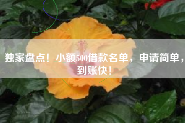 独家盘点！小额500借款名单，申请简单，到账快！