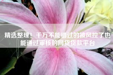 精选整理！千万不能错过的被风控了也能通过审核的网贷贷款平台