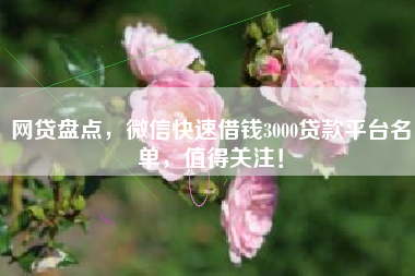 网贷盘点，微信快速借钱3000贷款平台名单，值得关注！