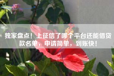 独家盘点！上征信了哪个平台还能借贷款名单，申请简单，到账快！