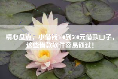 精心盘点，小借钱100到500元借款口子，这些借款软件容易通过！