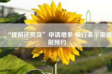 “提前还房贷”申请增多 银行表示需提前预约